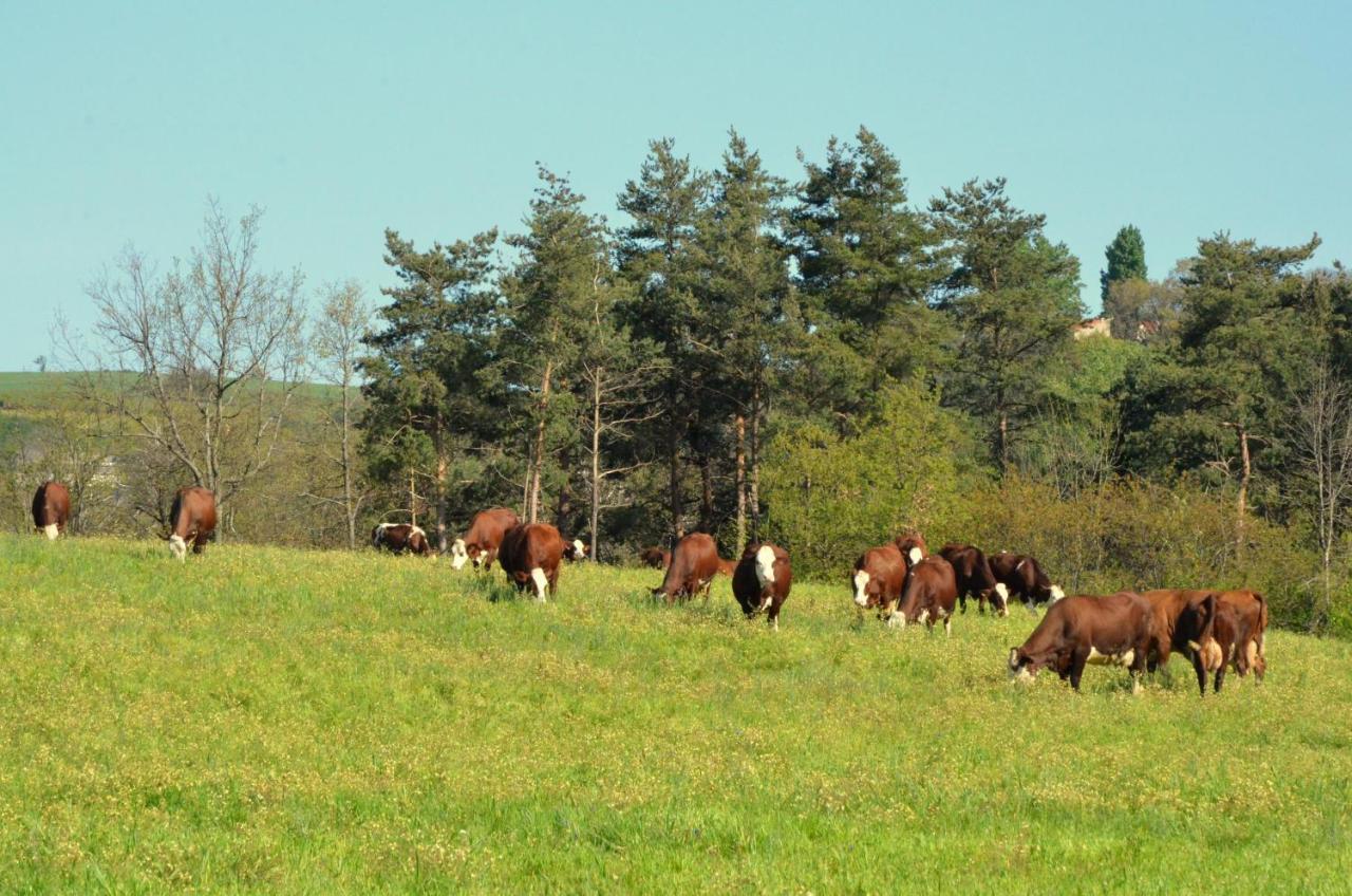Gites A La Ferme De Bacon Saint-Sylvestre  エクステリア 写真
